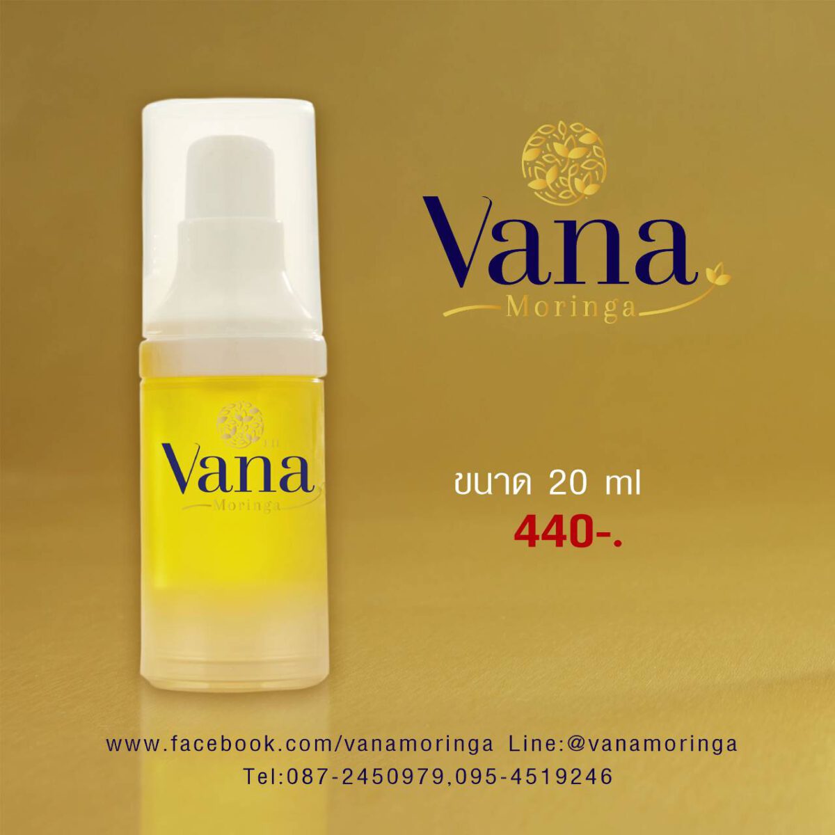 วนา มอริงก้า - Image 4