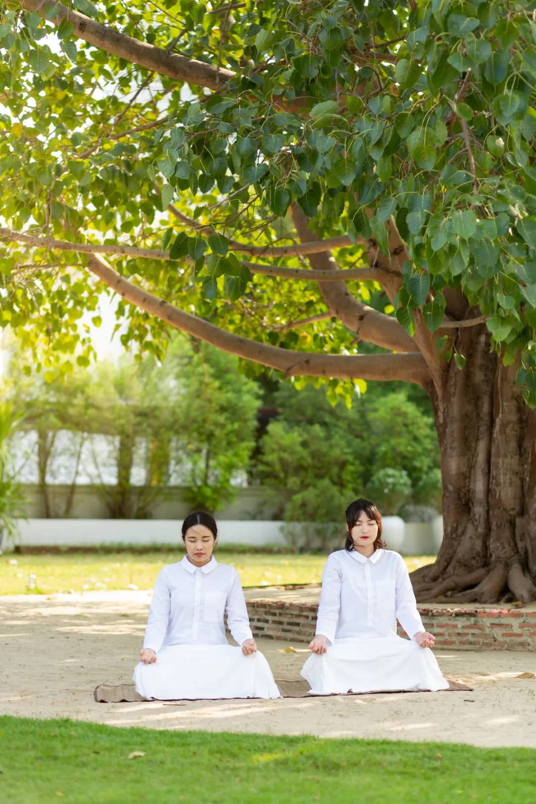 ชุดปฏิบัติธรรม
