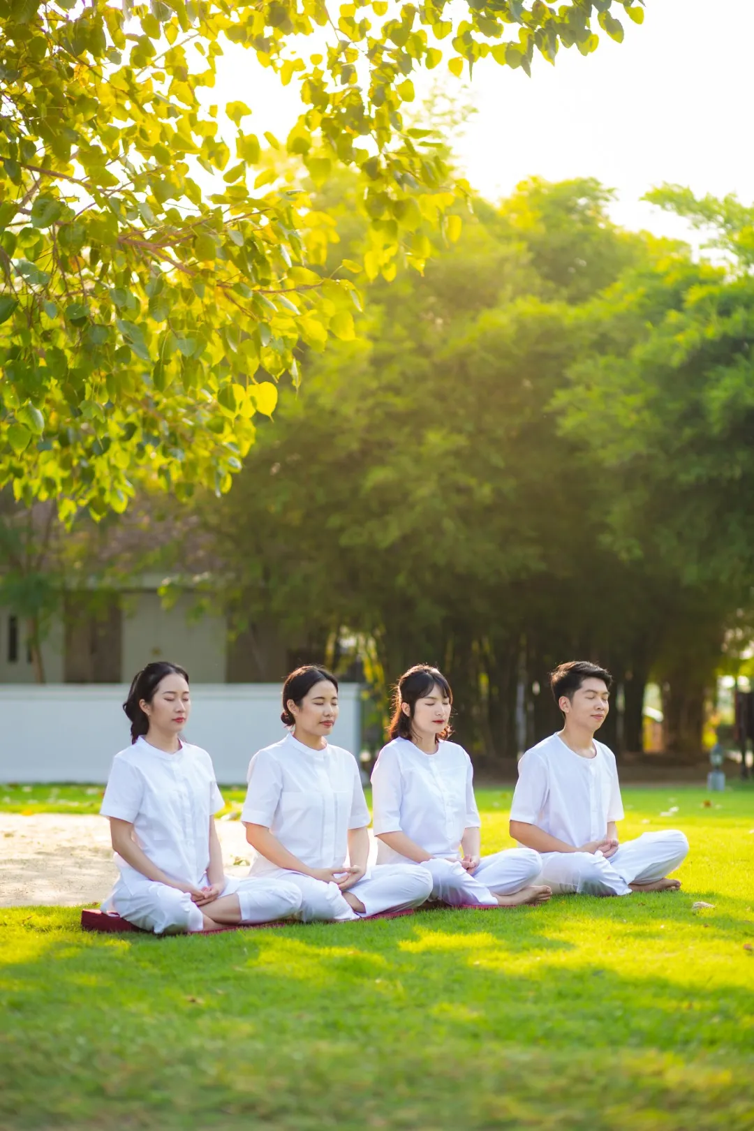 ชุดปฏิบัติธรรม