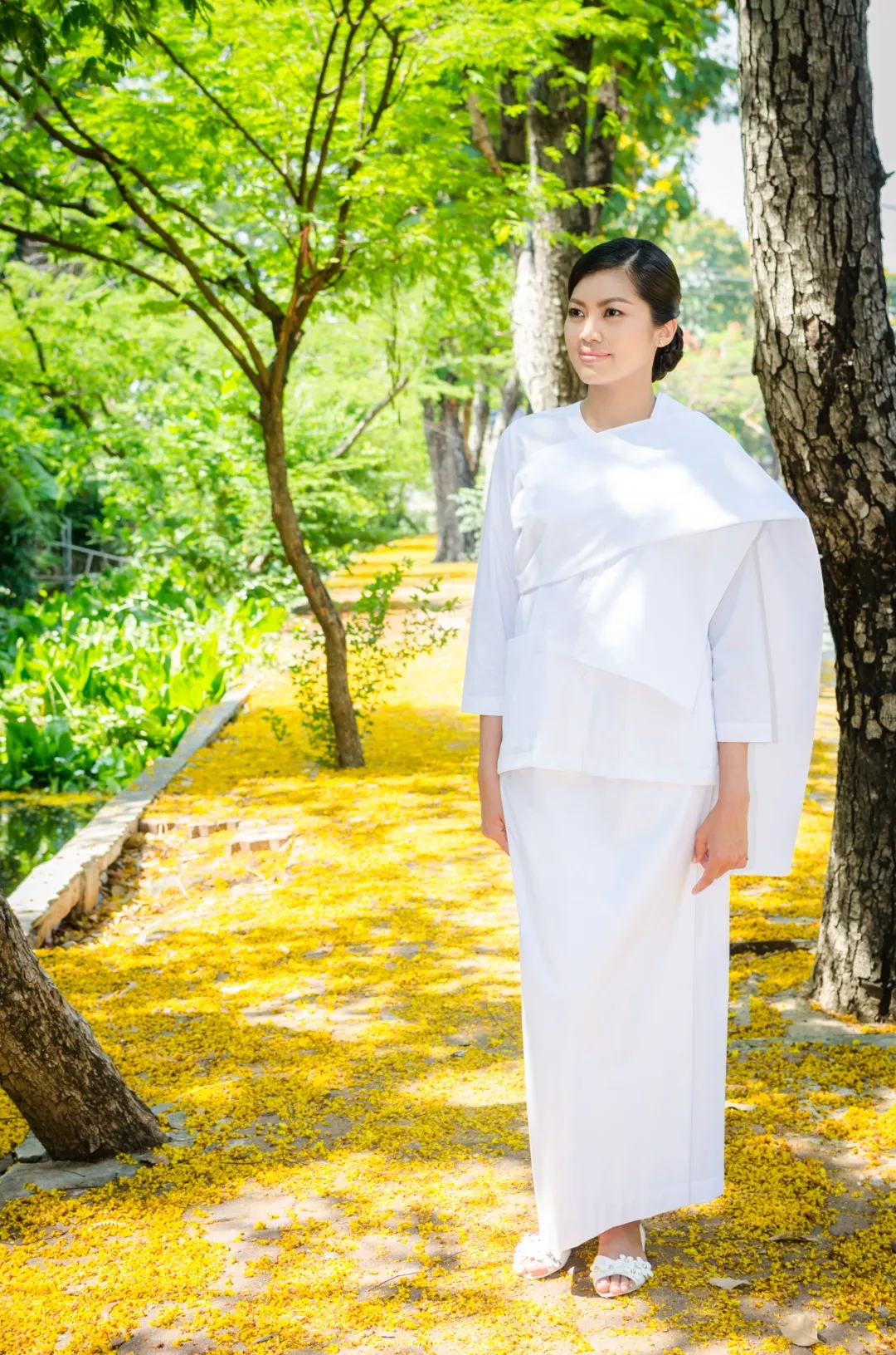 ชุดปฏิบัติธรรมกับสมาธิ