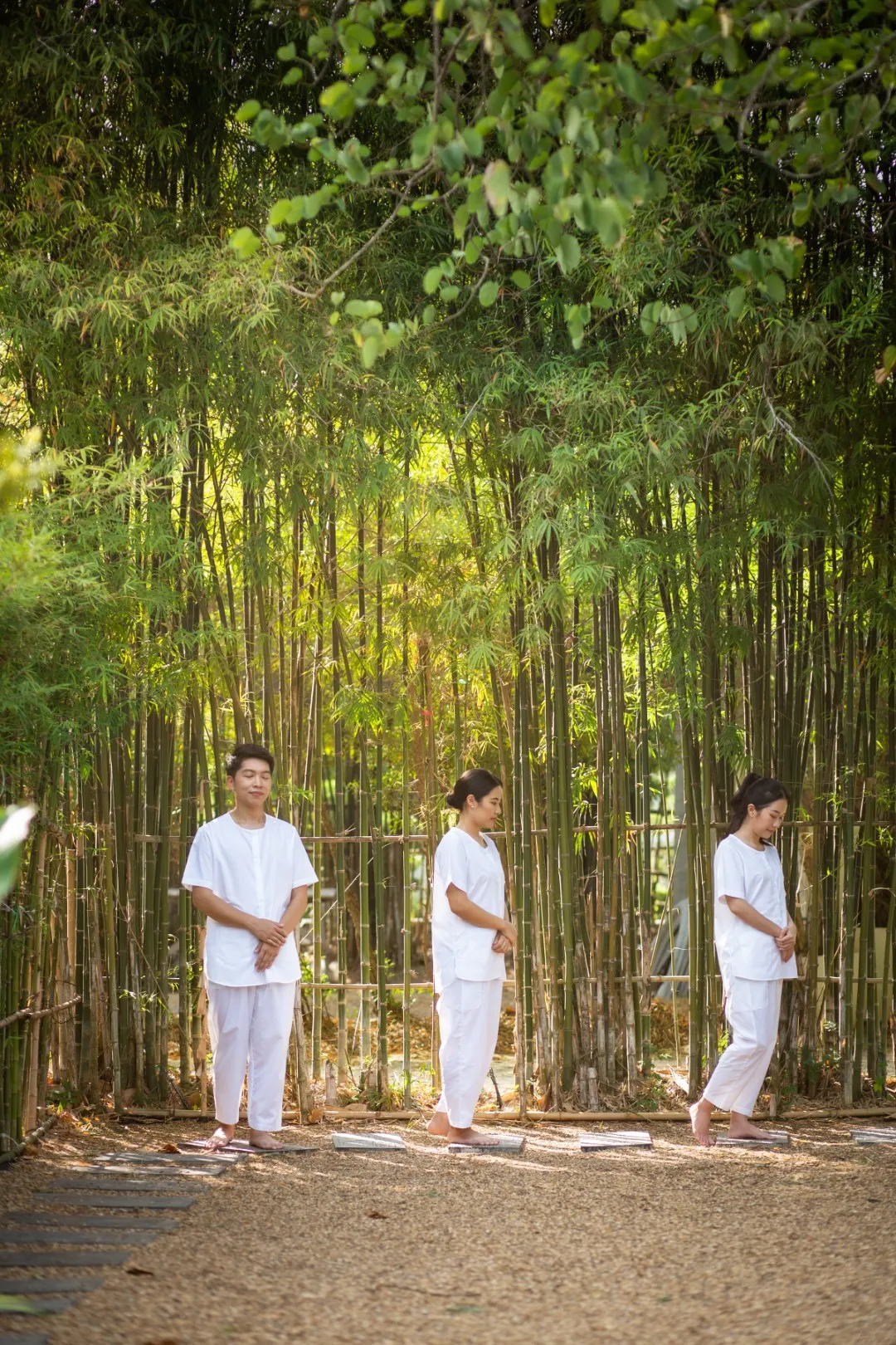 ชุดปฏิบัติธรรม