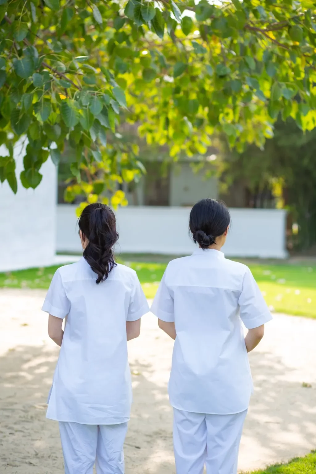ชุดปฏิบัติธรรม